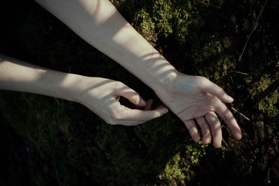 Close-up of hand on tree trunk