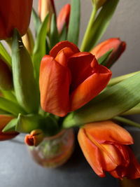 Close-up of orange tulips