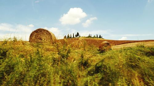 Scenic view of land against sky