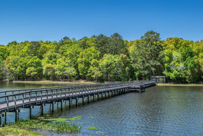 Scenic view of river against clear blue sky