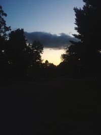 Silhouette of trees at sunset