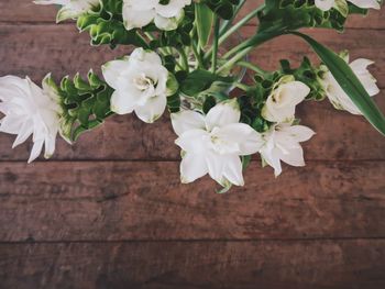 High angle view of white flowers on table