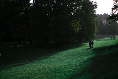 People on field in park