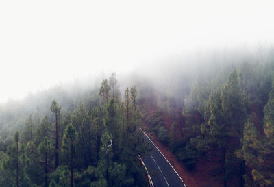 Panoramic view of road amidst trees against sky