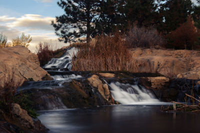 Scenic view of waterfall in forest