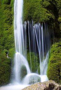 View of waterfall in forest