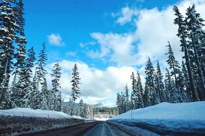 Road amidst snow covered plants against sky