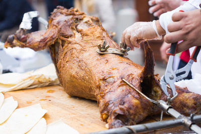 Close-up of hand holding meat