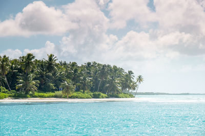 Scenic view of caribbean sea against sunny sky