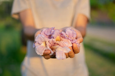 Close-up of hand holding purple flower