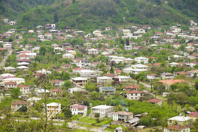 Old town and city center view and landscape in georgia. tsalenjikha town.