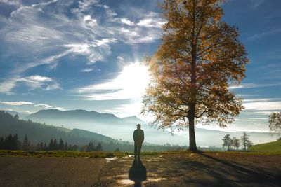 Silhouette man walking by autumn tree on field against sky during sunny day