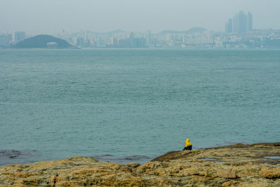 Rear view of man sitting on rock