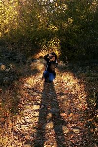 Woman standing by tree in forest