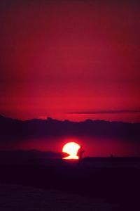 Silhouette of trees at sunset