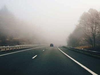 Empty road along trees