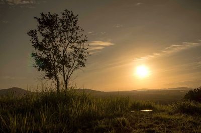 Scenic view of field against sky during sunset