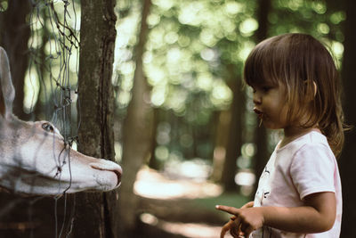 Girl looking at deer