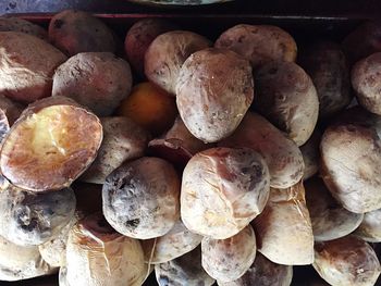 Close-up of onions