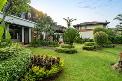 Trees and houses in garden against sky