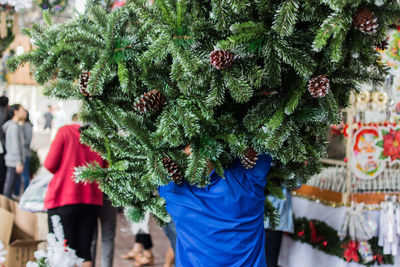 View of christmas tree