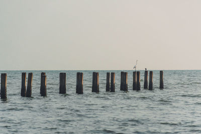 Wooden posts in sea against clear sky