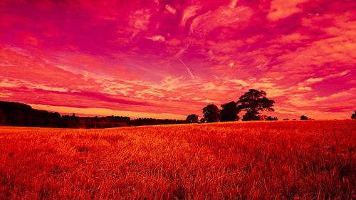 Scenic view of field against cloudy sky