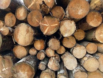 Full frame shot of logs