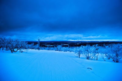 Snow covered landscape