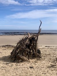 Driftwood on beach against sky