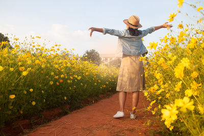 Rear view of woman standing amidst yellow flowering plants on field