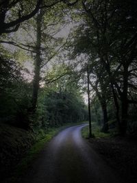 Road amidst trees in forest