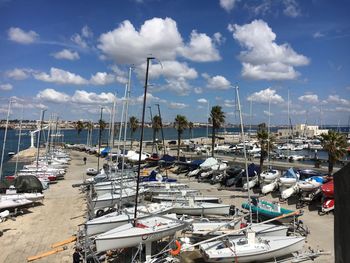 High angle view of sailboats moored at harbor