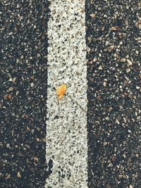 Full frame shot of paving stone