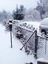 Bare trees on snow covered landscape