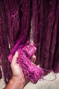 Close-up of hand holding purple leaf