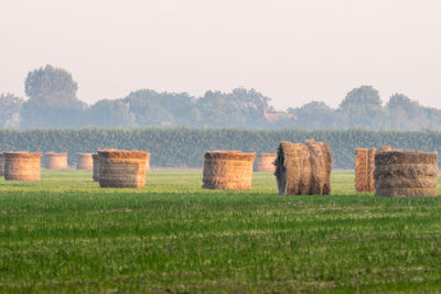 Hay bales on field against sky