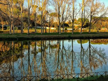 Reflection of trees in lake against sky