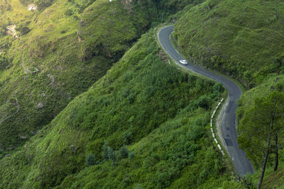 High angle view of road amidst trees in forest