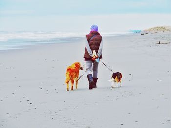 Rear view of woman walking with dogs at beach