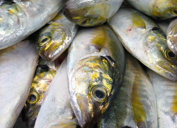 Full frame shot of fish for sale in market