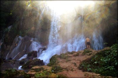 Waterfall in a forest