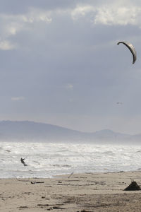 Seagulls flying over sea against sky