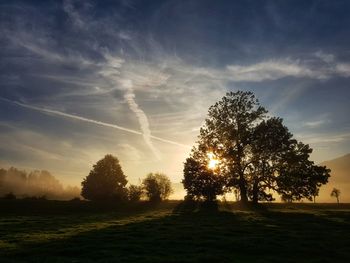 Trees on field against sky during sunset