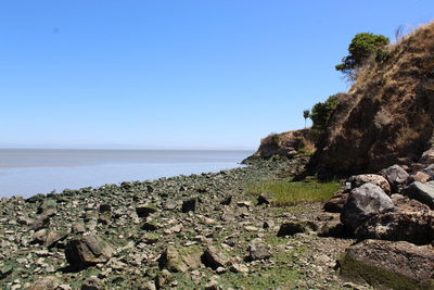 Scenic view of sea against clear sky