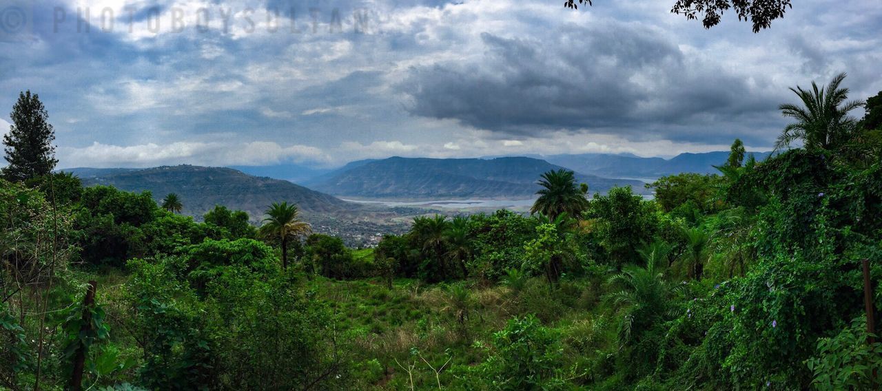 SCENIC VIEW OF GREEN LANDSCAPE AGAINST SKY