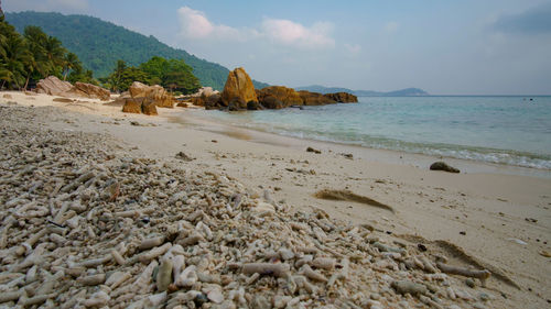 Scenic view of beach against sky