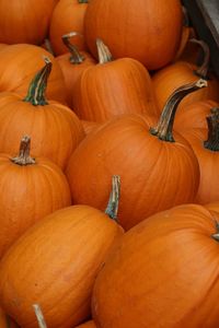 High angle view of pumpkins for sale at market stall