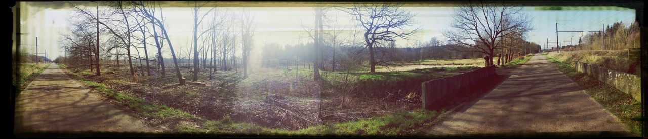 tree, the way forward, transfer print, auto post production filter, tranquility, tranquil scene, dirt road, sky, landscape, nature, grass, field, diminishing perspective, bare tree, clear sky, road, growth, footpath, scenics, sunlight