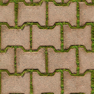 Background seamless texture of green grass sprouted between bricks of cobblestone path, top view. 